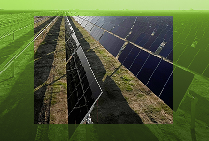 Solar panels in a field